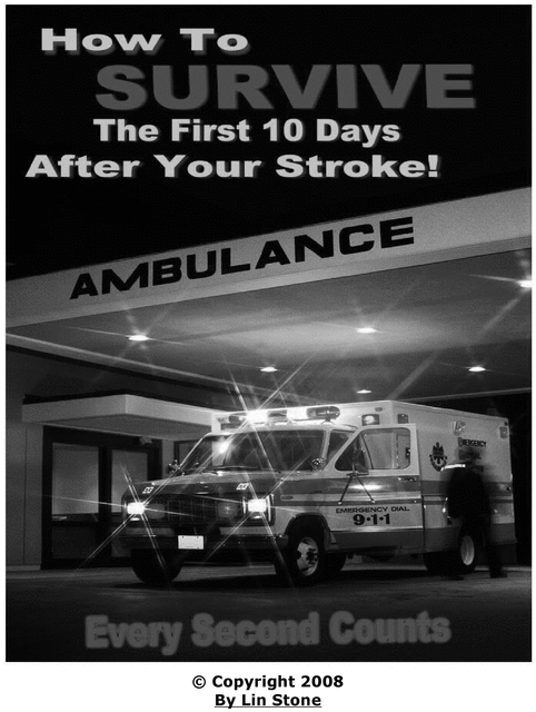 Product picture How to Survive the first 10 days after Your Stroke